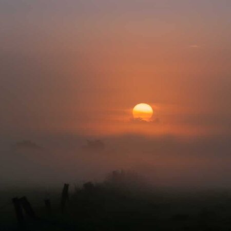 Glowing Fog
