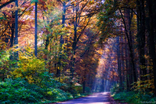 Autumn Valley