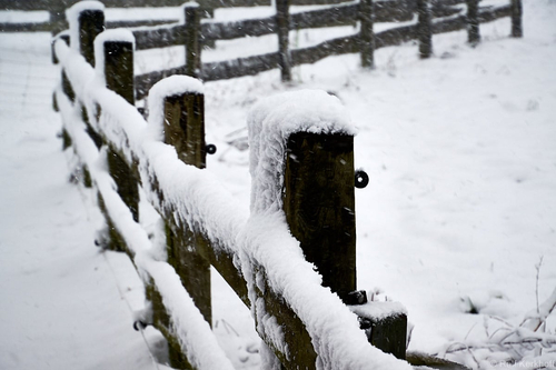 Fence