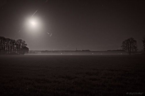 Night Lights